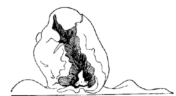 盤(pán)點(diǎn)各類(lèi)地質(zhì)地貌類(lèi)型-地?zé)豳Y源開(kāi)發(fā)-地大熱能