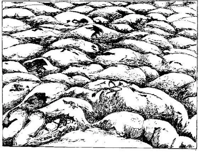 盤(pán)點(diǎn)各類(lèi)地質(zhì)地貌類(lèi)型-地?zé)豳Y源開(kāi)發(fā)-地大熱能