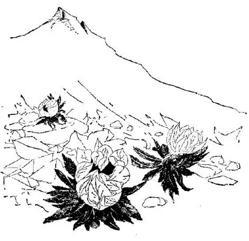 盤(pán)點(diǎn)各類(lèi)地質(zhì)地貌類(lèi)型-地?zé)豳Y源開(kāi)發(fā)-地大熱能