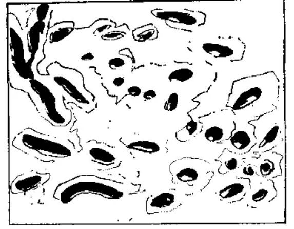 盤(pán)點(diǎn)各類(lèi)地質(zhì)地貌類(lèi)型-地?zé)豳Y源開(kāi)發(fā)-地大熱能