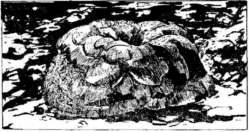 盤(pán)點(diǎn)各類(lèi)地質(zhì)地貌類(lèi)型-地?zé)豳Y源開(kāi)發(fā)-地大熱能